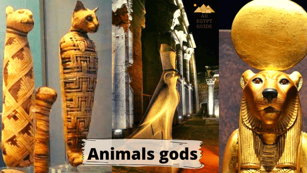 Animal gods - All Egypt Guide