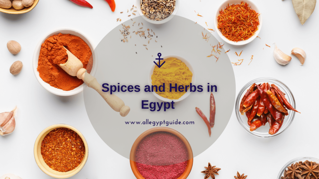 Spices and Herbs in Egypt